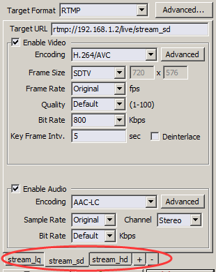 IPVTL Multiple Bitrate Streaming